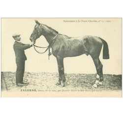 hippisme.n°37648.falerno.alezan .1910.CHEVAUX.SUPPLEMENT A LA FRANCE CHEVALINE.course.cheval.jokey.