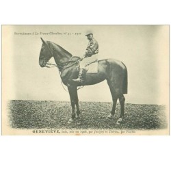 hippisme.n°37660.genevieve.baie .1910.CHEVAUX.SUPPLEMENT A LA FRANCE CHEVALINE.course.cheval.jokey.