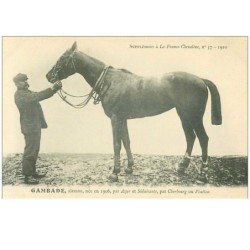 hippisme.n°37661.gambade.alezane .1910.CHEVAUX.SUPPLEMENT A LA FRANCE CHEVALINE.course.cheval.jokey.