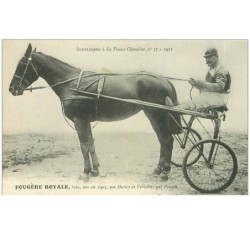 HIPPISME.n°11286.FOUGERE ROYALE