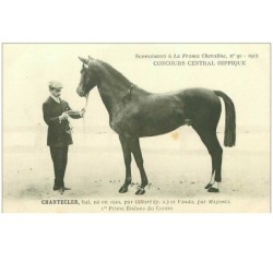 HIPPISME.n°11272.CHANTECLER..1er PRIME ETALONS DU CENTRE