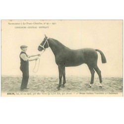 HIPPISME.n°11270.IDEM.1er PRIME ETALONS VENDEENS ET CHARENTAIS