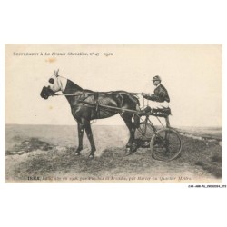 CAR-ABRP6-0529-HIPPISME - IRMA - Baie née en 1908 - Par fuschia et arcadie - Par harley ou quartier maitre
