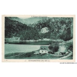 CAR-AGEP18-1123-68 - SCHIESSORTRIED - L'Alsace Pittoresque - Vue d'ensemble