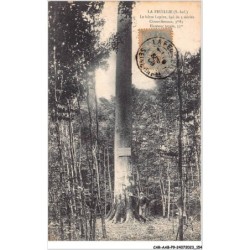 CAR-AABP9-76-0725 - LA FEUILLIE - Le hêtre lepère âgé de 3 siècles