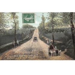 76 - n°150906 - Circuit de la seine-inférieure - La route près de mesnil-réaume - Attelage chiens