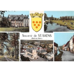 76 .n° 204916.st saens.souvenir....cpsm - 15 x 10.5 cm