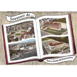 76 . n°sac10602 . notre-dame-de-gravenchon . Les raffineries. La mairie. en avion au dessus de . cpsm 10X15 cm . SOFER