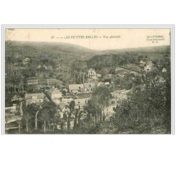 76.LES PETITES DALLES.VUE GENERALE