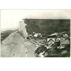 76.LES PETITES DALLES.n°14133.VUE GENERALE.CPSM.