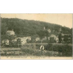 76.LES PETITES DALLES.VUE GENERALE SUR LE BOIS