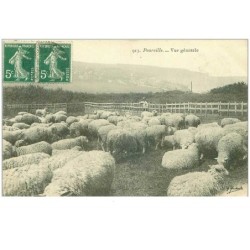 76.POURVILLE.n°15850.VUE GENERALE.TROUPEAU DE MOUTONS