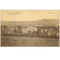 76.MESNIERES.n°15849.INSTITUTION ST JOSEPH.PANORAMA