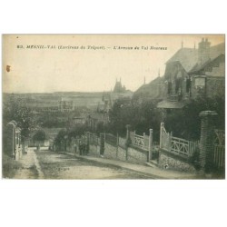 76.MESNIL-VAL.n°13538.L'AVENUE DU VAL HEUREUX