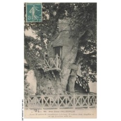 CAR-ACRP11-0636-76 - Gros chene d'ALLOUVILLE