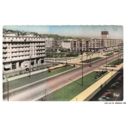 CAR-ACCP6-0416-76 - LE HAVRE - Boulevard foch - Square st-roch