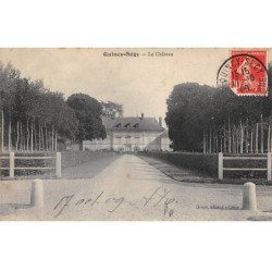 77 - QUINCY SEGY - SAN24814 - Le Château