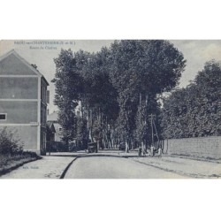 77 - BROU SUR CHANTEREINE - SAN25907 - Route de Chelles