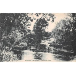77 - MONTIGNY SUR LOING - SAN24822 - Un coin du Loing