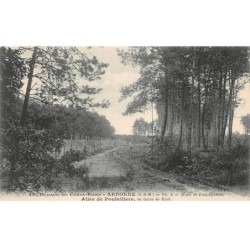 77 - ARBONNE - SAN57325 - Domaine de Corne Biche - Allée de Poulaillers