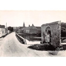77 - SAN61216 - TOUSSON - La Mare de la Roncelette - Mignon 3989 - CPSM 10x15 cm