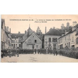 77 - DONNEMARIE EN MONTOIS - SAN67362 - La remise du Drapeau aux Combattants de 1914-18 - Place du marché
