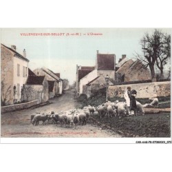 CAR-AAGP8-77-0712 - VILLENEUVE-SUR-BELLOT - L'Ormeron