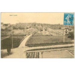77.MONT FLEURI.n°13588.HOTEL RESTAURANT DES PEUPLIERS