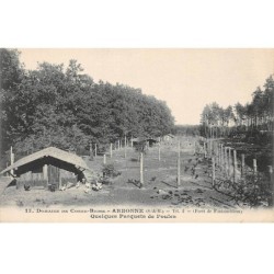 77 - ARBONNE - SAN57327 - Domaine de Corne Biche - Quelques Parquets de Poules