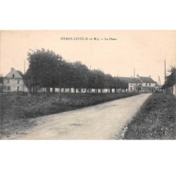 77. n° 105264 .pierre levee .la place .