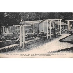 77. n° 105239 .luzancy .ecole de plein air et colonies scolaires de la caisse des ecoles .