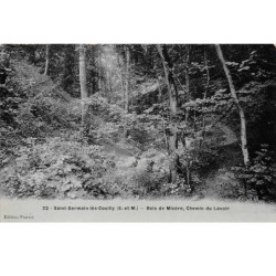 77. n° 105063 .saint germain les couilly .bois de misere et chemin du lavoir .