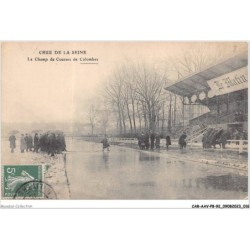 CAR-AAVP8-92-0493 - CRUE DE LA SEINE - Le champ de courses de colombes