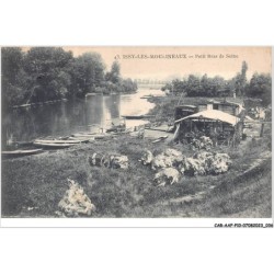 CAR-AAFP10-92-0874 - ISSY-LES-MOULINEAUX - Petit bras de seine