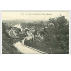 92.SEVRES.LA SEINE DE BELLEVUE