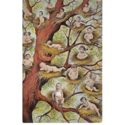 Humour - N°84117 - Bébés dans des nids dans un arbre