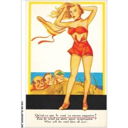 CAR-ABLP6-0467-HUMOUR - Qu'est-ce que le vent va encore emporter