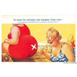 CAR-ADRP7-0365-HUMOUR - Ici toutes curiosités sont marquées d'une croix