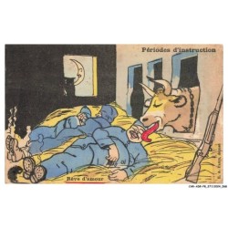 CAR-ADRP8-0418-HUMOUR - Reve d'amour - Péroides d'instruction